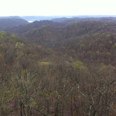 Lockegee Rock and Cave Run Lake